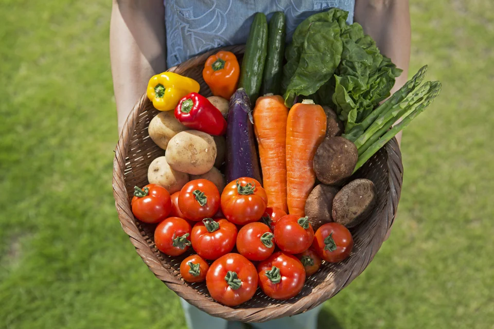 frutas verduras legumes