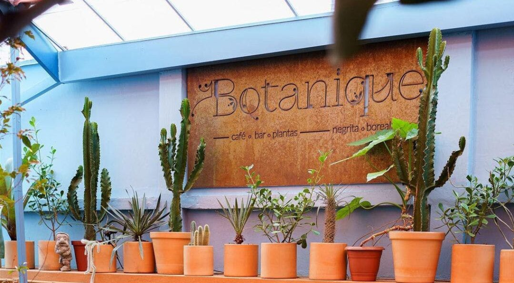 Botanique Oásis - Melhores Cafeterias em Curitiba
