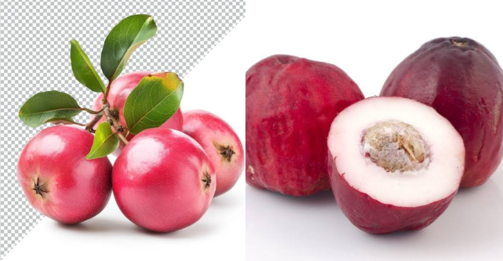 Pomarrosa e Jambo: Diferenças Principais