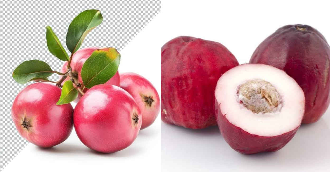 Pomarrosa vs Jambo: Qual a Diferença e Como Cultivar?