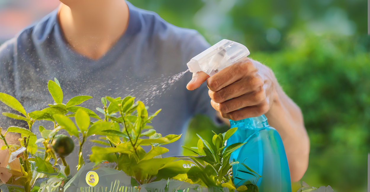 Bicarbonato de Sódio: O Segredo Barato que Revoluciona o Cuidado com suas Plantas