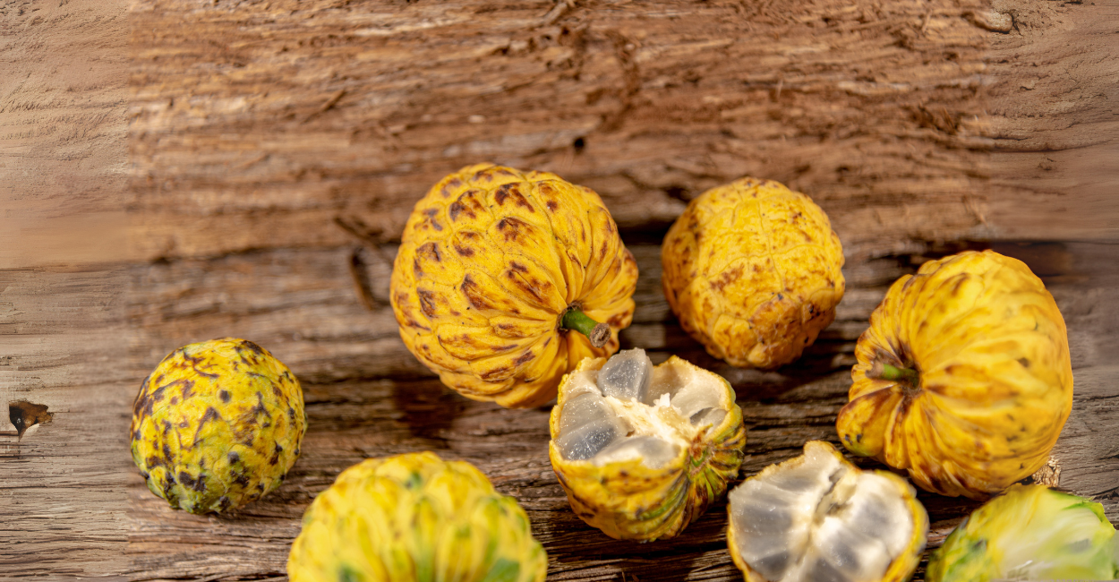 Marolo: o fruto do Cerrado que virou símbolo de identidade e tradição