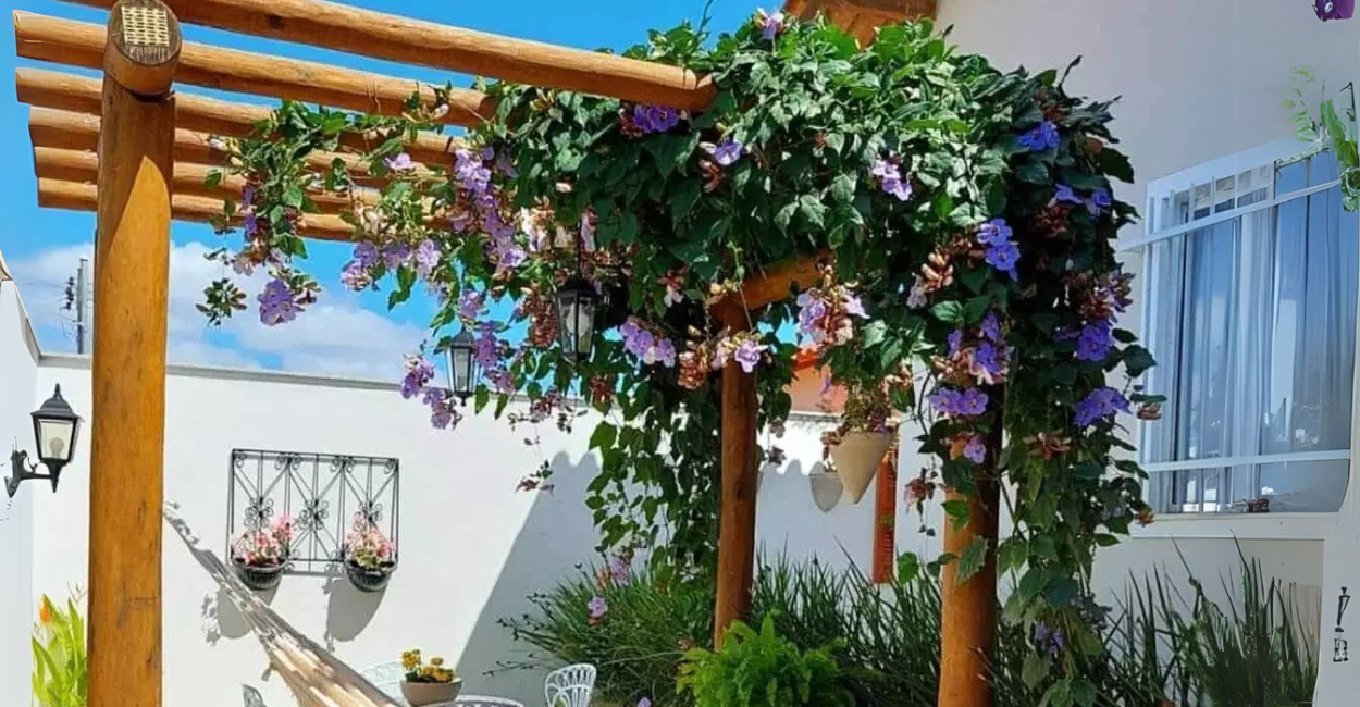 Guia Completo de Treliças para Jardim: 10 Ideias Inspiradoras para Transformar seu Espaço