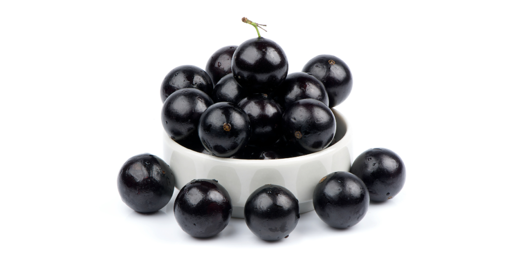 Como plantar jabuticaba em vaso